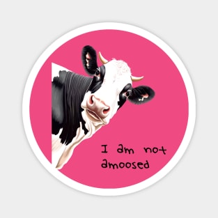 I Am Not Amoosed Pun Cartoon Style Cow Magnet